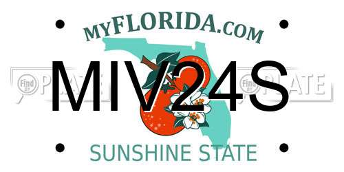 MIV24S Florida License Plate
