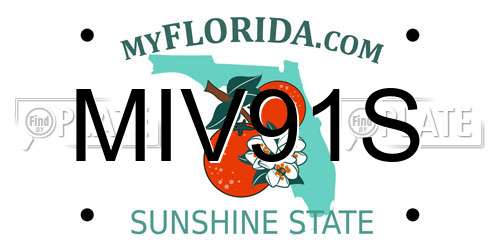 MIV91S Florida License Plate