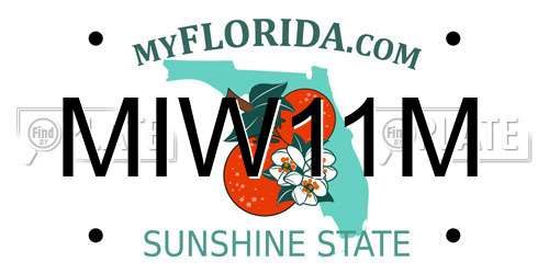 MIW11M Florida License Plate