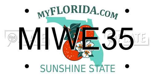 MIWE35 Florida License Plate