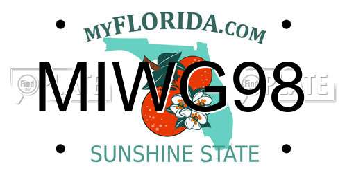 MIWG98 Florida License Plate