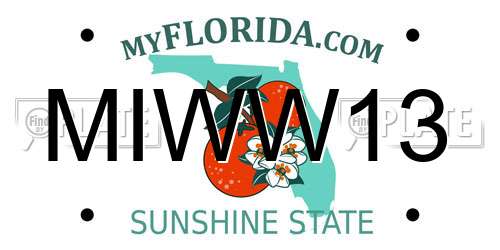 MIWW13 Florida License Plate