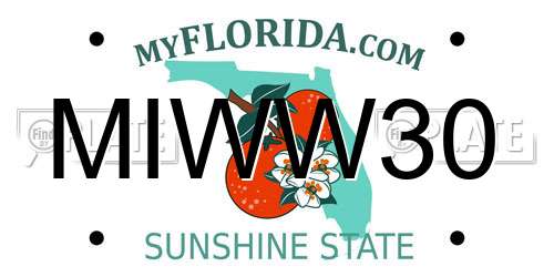 MIWW30 Florida License Plate