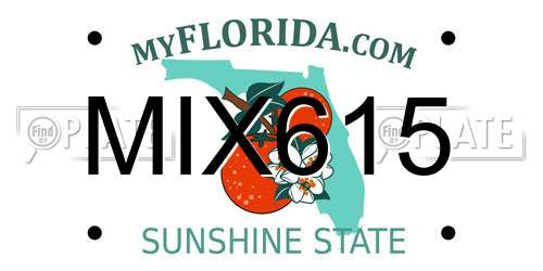 MIX615 Florida License Plate