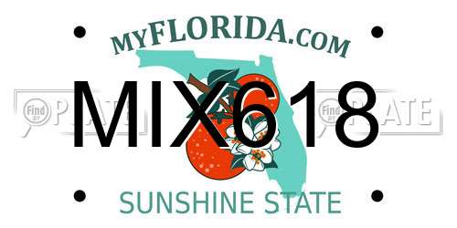 MIX618 Florida License Plate