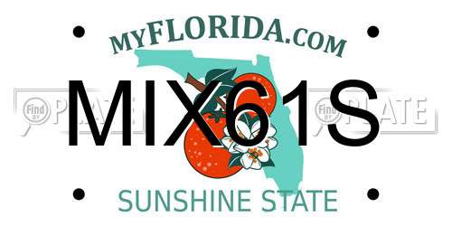 MIX61S Florida License Plate
