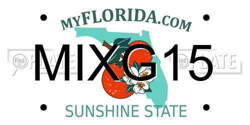 MIXG15 Florida License Plate