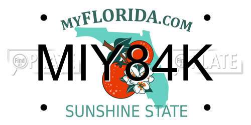 MIY84K Florida License Plate