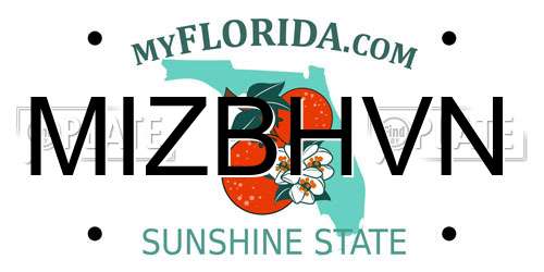 MIZBHVN Florida License Plate