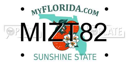 MIZT82 Florida License Plate