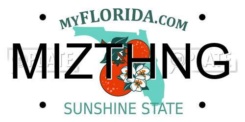 MIZTHNG Florida License Plate