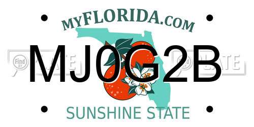 MJ0G2B Florida License Plate