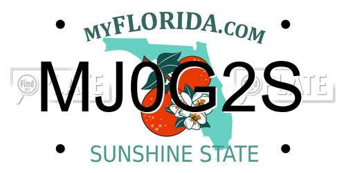 MJ0G2S Florida License Plate
