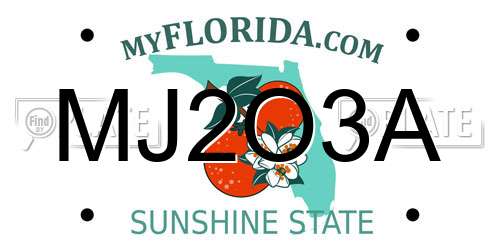 MJ2O3A Florida License Plate