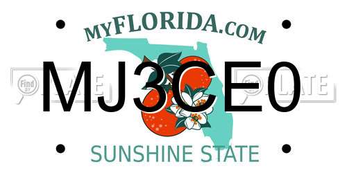 MJ3CE0 Florida License Plate