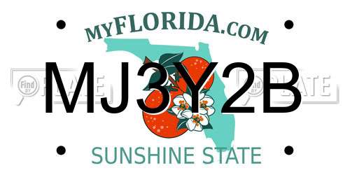 MJ3Y2B Florida License Plate