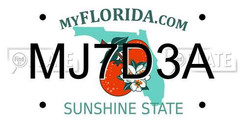 MJ7D3A Florida License Plate