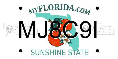 MJ8C9I Florida License Plate