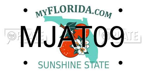 MJAT09 Florida License Plate