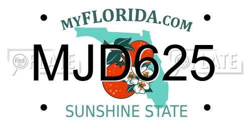 MJD625 Florida License Plate