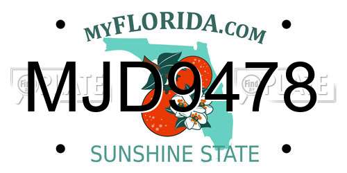 MJD9478 Florida License Plate
