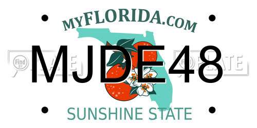 MJDE48 Florida License Plate
