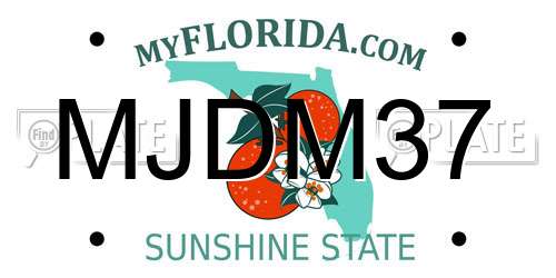 MJDM37 Florida License Plate