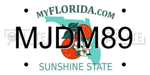MJDM89 Florida License Plate