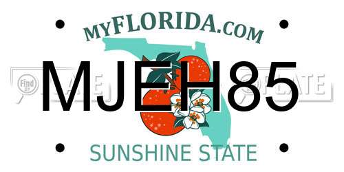 MJEH85 Florida License Plate