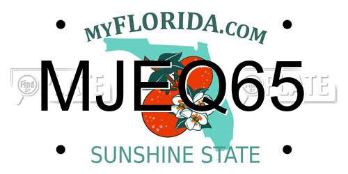MJEQ65 Florida License Plate