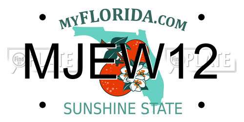 MJEW12 Florida License Plate