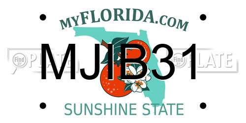 MJIB31 Florida License Plate