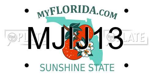 MJIJ13 Florida License Plate