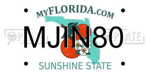 MJIN80 Florida License Plate