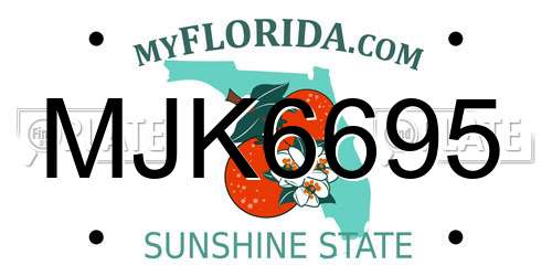 MJK6695 Florida License Plate