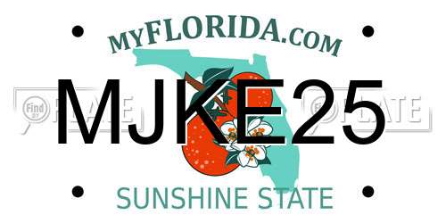 MJKE25 Florida License Plate