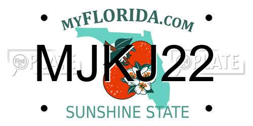 MJKJ22 Florida License Plate