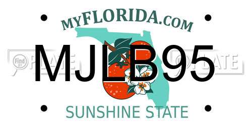 MJLB95 Florida License Plate