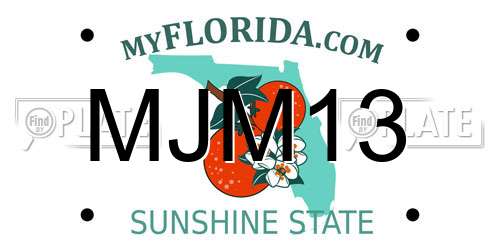 MJM13 Florida License Plate