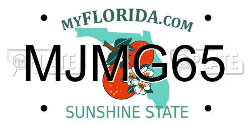 MJMG65 Florida License Plate