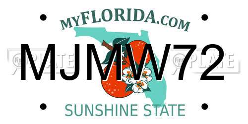 MJMW72 Florida License Plate