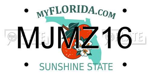 MJMZ16 Florida License Plate
