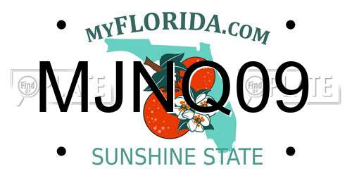 MJNQ09 Florida License Plate