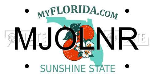MJOLNR Florida License Plate