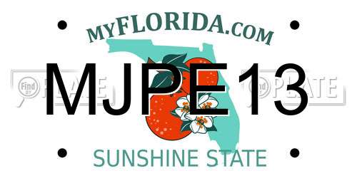 MJPE13 Florida License Plate