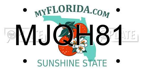 MJQH81 Florida License Plate