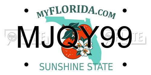 MJQY99 Florida License Plate