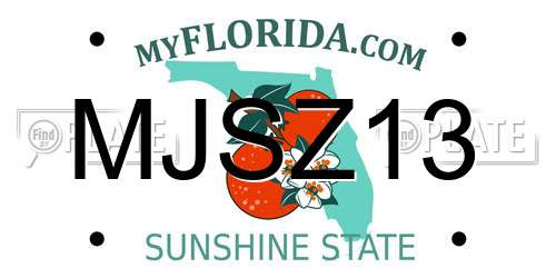 MJSZ13 Florida License Plate