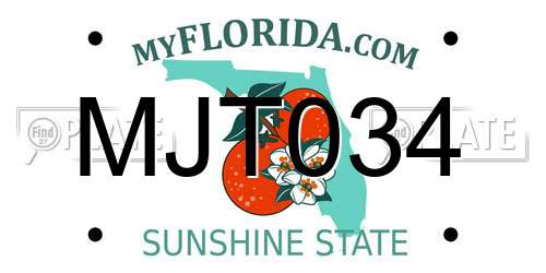 MJT034 Florida License Plate