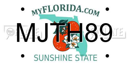 MJTH89 Florida License Plate
